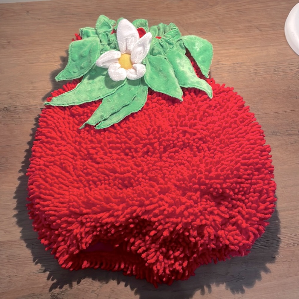 Baby strawberry costume